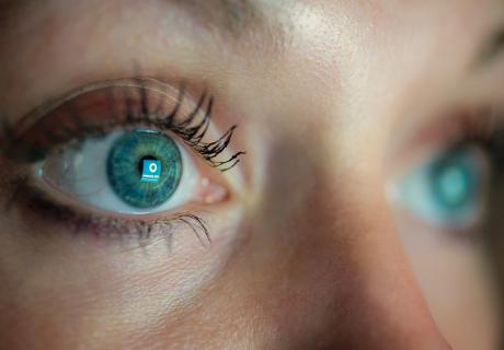 Polizeiliche Kriminalstatistik 2025