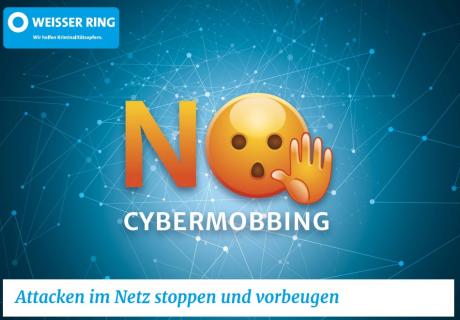 Cybermobbing